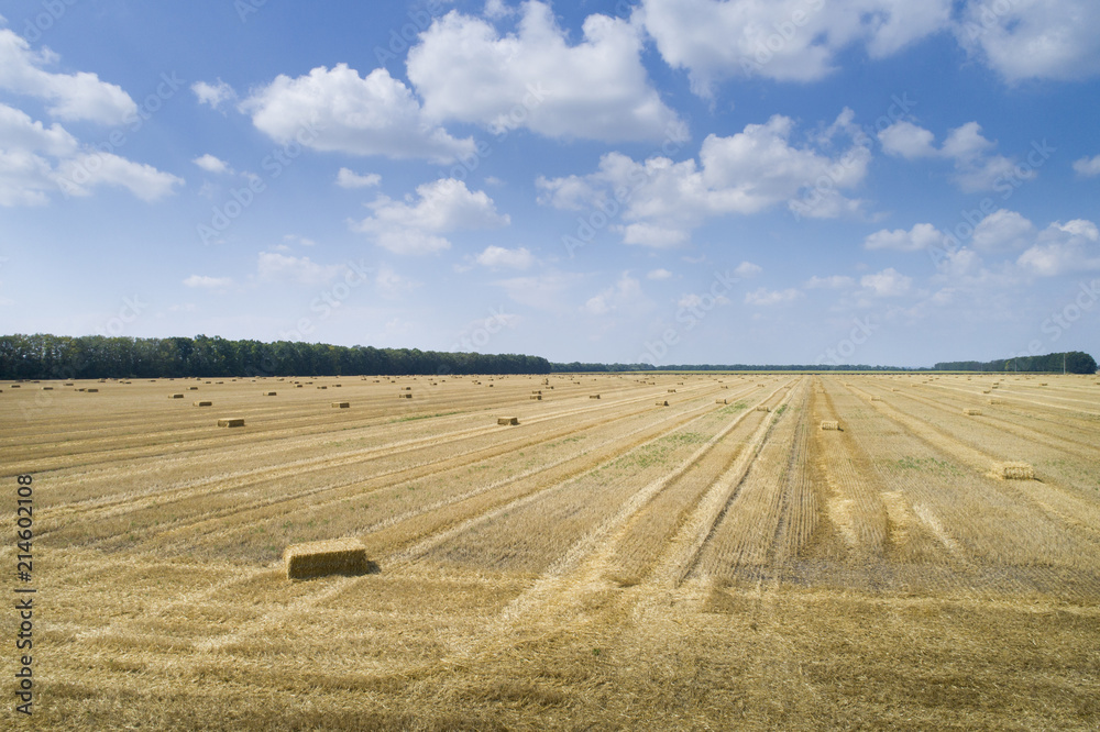 view to field with stacked hay under blue sky