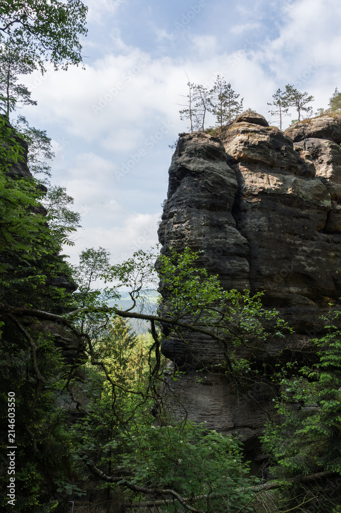 Felsen in der Sächsischen Schweiz