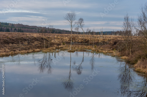 The swamp Hochmoor Mecklenbruch in Low Saxony, Germany