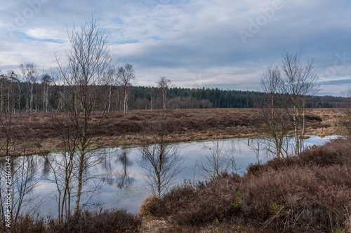 The swamp Hochmoor Mecklenbruch in Low Saxony, Germany