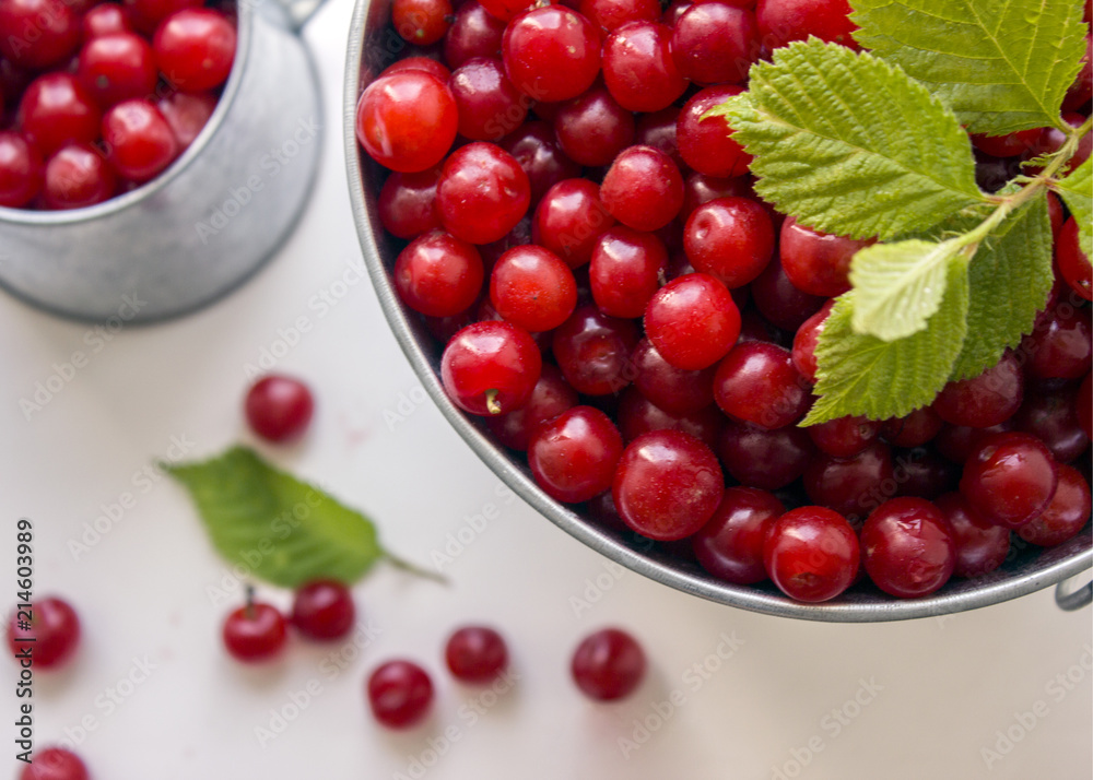 Fresh berries cherry fruit with cherry tree leaves on brass bucket on white background. 