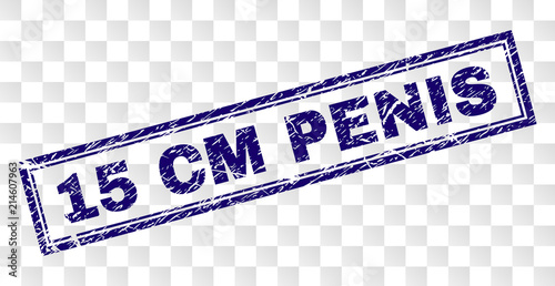 15 CM PENIS stamp seal print with grunge style and double framed rectangle shape. Stamp is placed on a transparent background. Blue vector rubber print of 15 CM PENIS label with grunge texture.