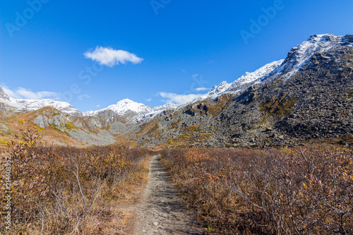 Mountain Landscape in Hatcher Pass Alaska