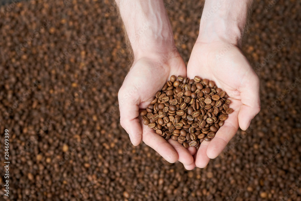 Above view of hands holding handful of freshly roasted coffee beans over coffee background Above view of hands holding handful of freshly roasted coffee beans over coffee background