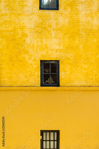 Old beautiful window on a yellow wall. Architecture. Backgrounds.