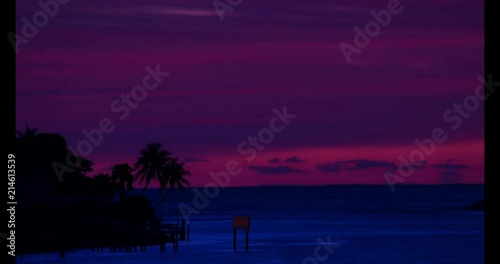 a beautiful sunriseon a stormy morning with palm trees and many boats and ships photo