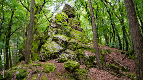 Grauer Stein in Wiesbaden