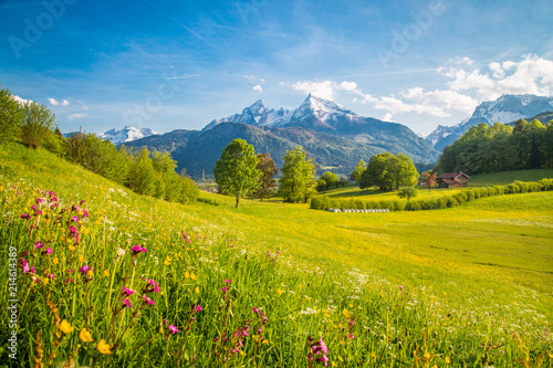 Obraz na płótnie Idyllic mountain scenery in the Alps with blooming meadows in springtime w salonie