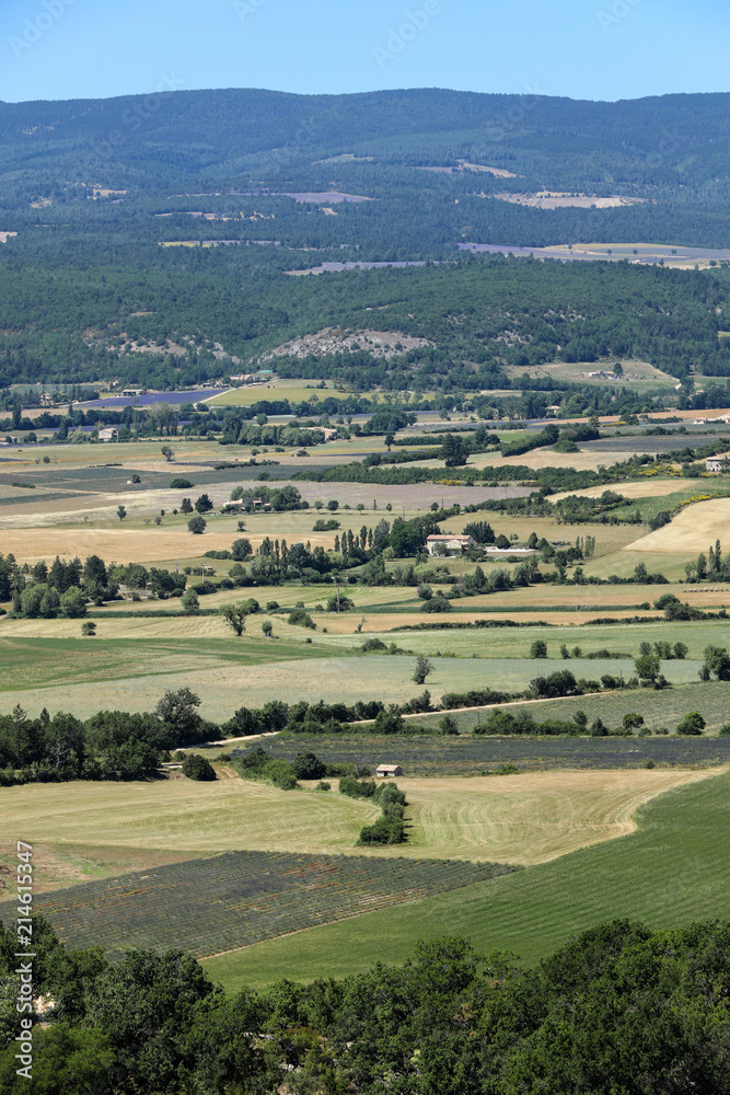 Patchwork of Farmer's fields in valley below Sault, Provence France