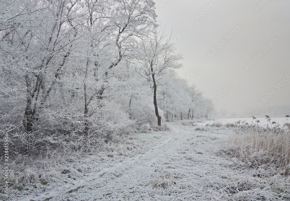 Winter landscape in the city park. Winter landscape in the city park.