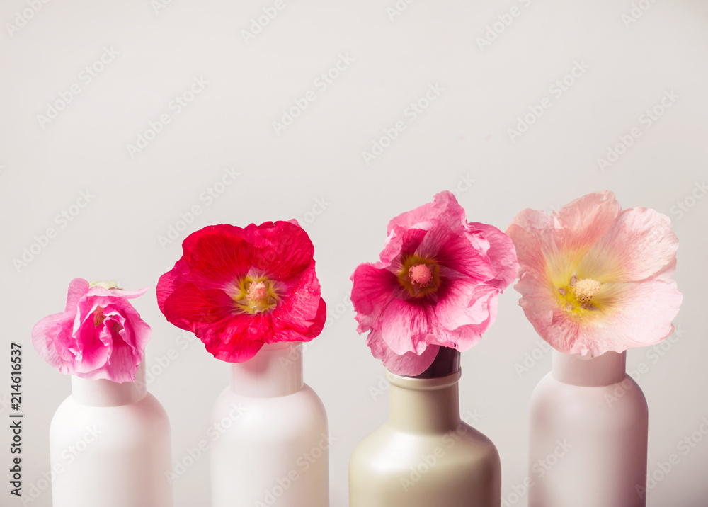 Fototapeta Kosmetyki naturalne zestaw i kwiaty na szarym tle