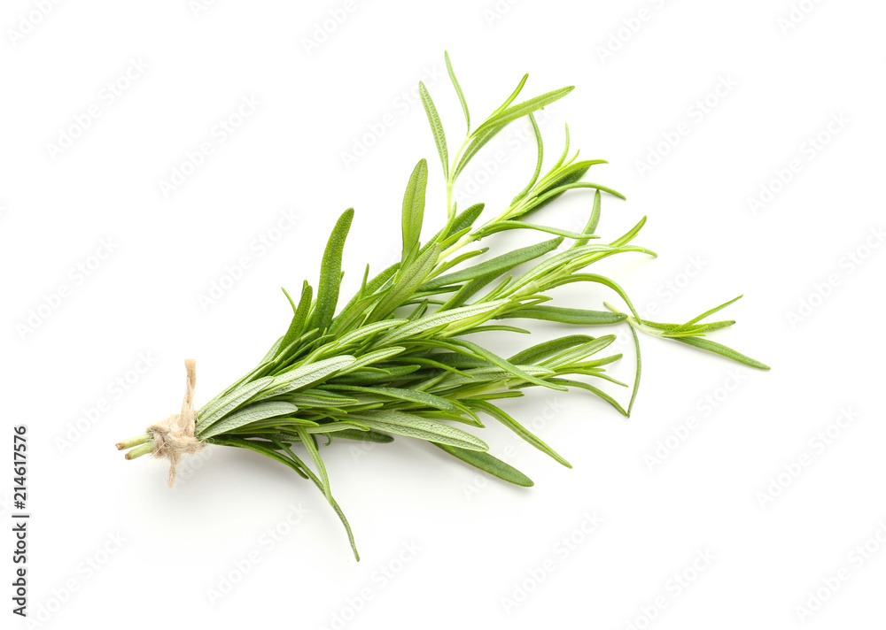 Fototapeta premium Fresh rosemary on white background