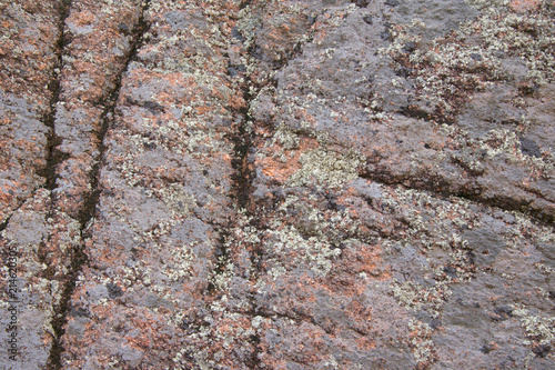 Closeup texture of granite rock