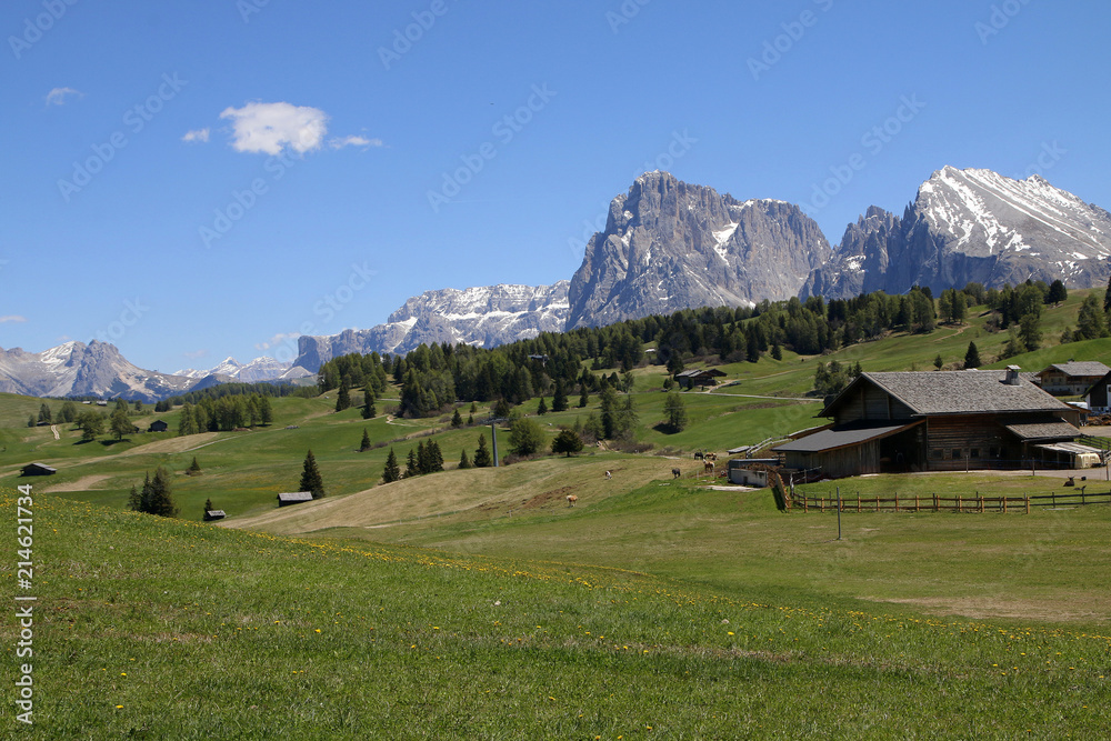 Seiseralm im Frühling mit Dolomiten, Südtirol, Italien, Europa