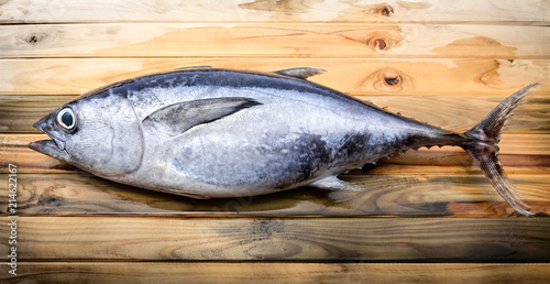 Fresh young bluefin tuna. photo