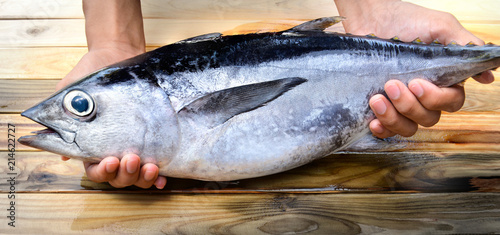 Fresh young bluefin tuna. photo