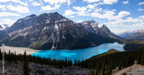 Peyto Lake viewed from the top of a mountain during a vibrant sunny day. Taken in Icefields Parkway, Banff National Park, Alberta, Canada.