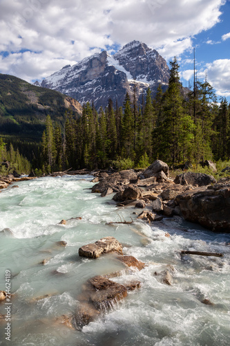 Glacier river in Yoho National Park during a vibrant sunny summer day. Located in British Columbia, Canada.