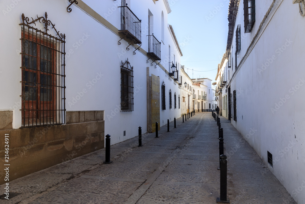 streets in the town of Villanueva de Los Infantes, in Spain. streets in the town of Villanueva de Los Infantes, in Spain.