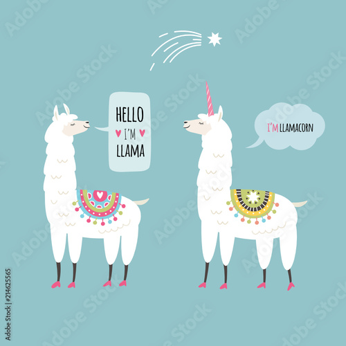 llamas illustration, cards design