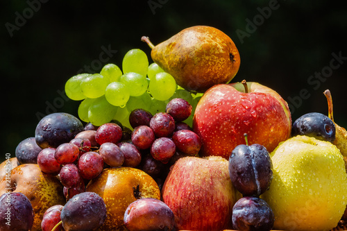 Fruit in the garden - apples, pears, plums and grapes