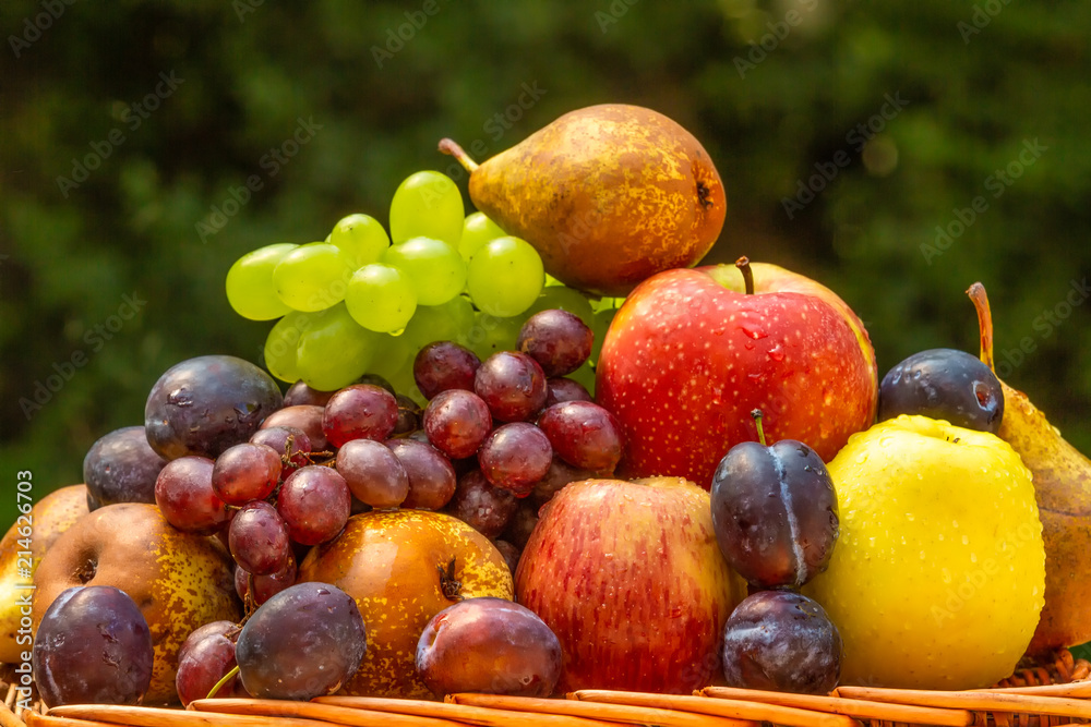 Fruit in the garden - apples, pears, plums and grapes