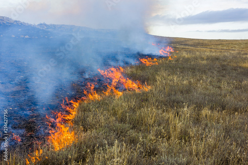 Fire in the steppe. Burning dry grass, emergency.