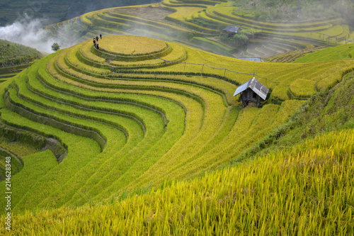 Mu Cang Chai, landscape terraced rice field near Sapa, north Vietnam,Rice terrace on during sunset ,Vietnam photo