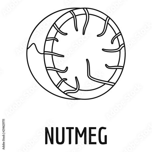 Nutmeg icon. Outline illustration of nutmeg vector icon for web design isolated on white background