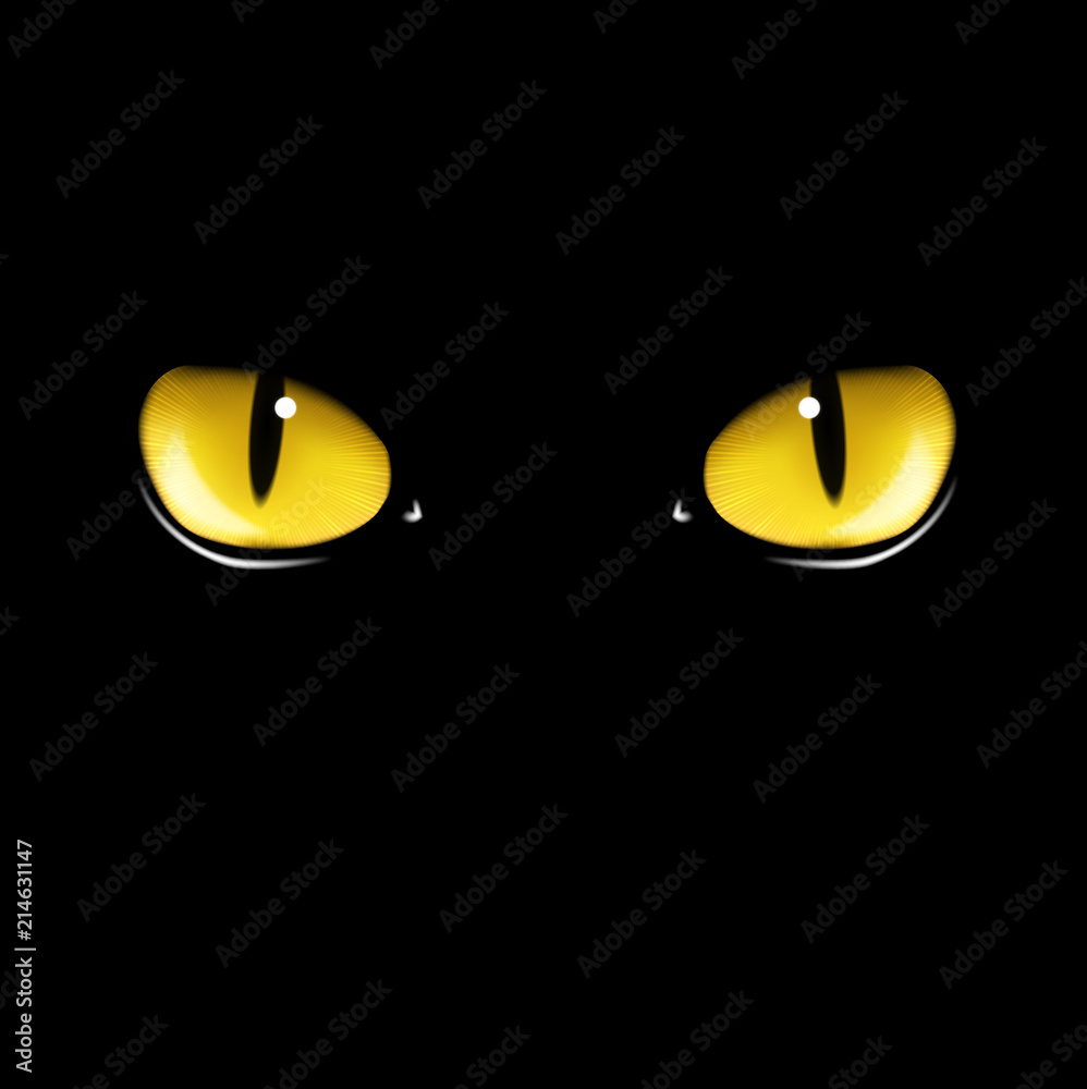 Black cat's eyes vector illustration Stock Vector Adobe Stock