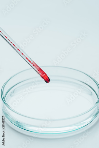 close-up shot of pipette with blood over empty petri dish on white surface