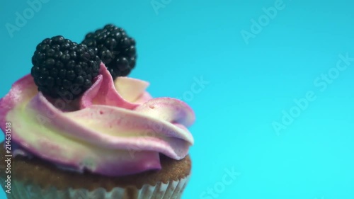 A delicious and appetizing capkake rotates with two blackberries on a blue background. photo