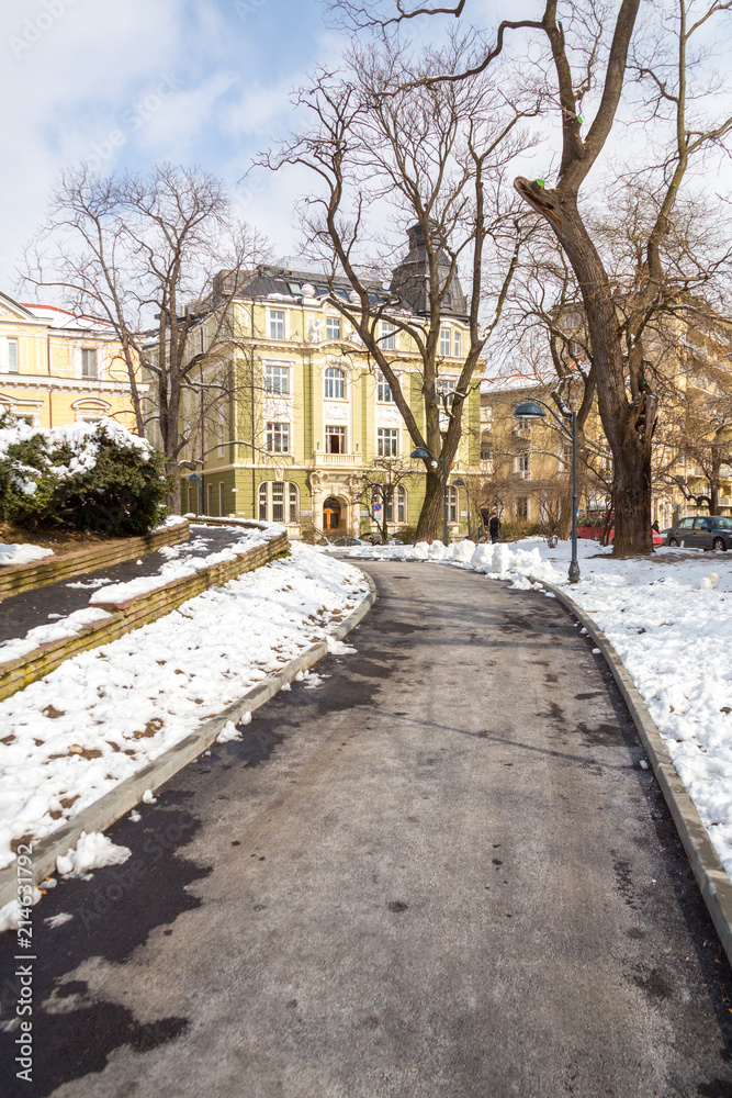 Naklejka premium A Park in the Snow