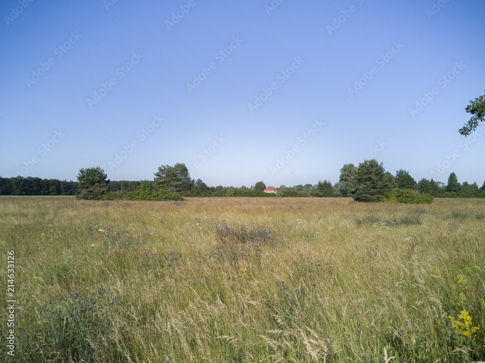 View over blooming meadows on a grove of trees with a secluded farmhouse View over blooming meadows on a grove of trees with a secluded farmhouse