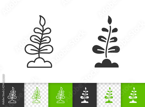 Sprout simple black line vector icon