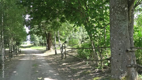 static shot of dirt path in rural landscape with trees