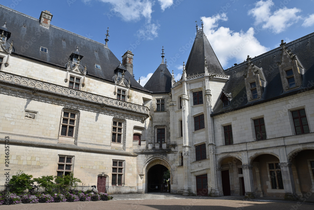 Cour du château de Chaumont sur Loire, France