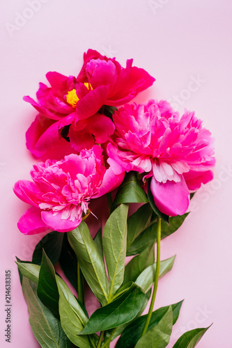 Beautiful magenta peony flower bouquet on the pink background. Closeup  flatlay style.