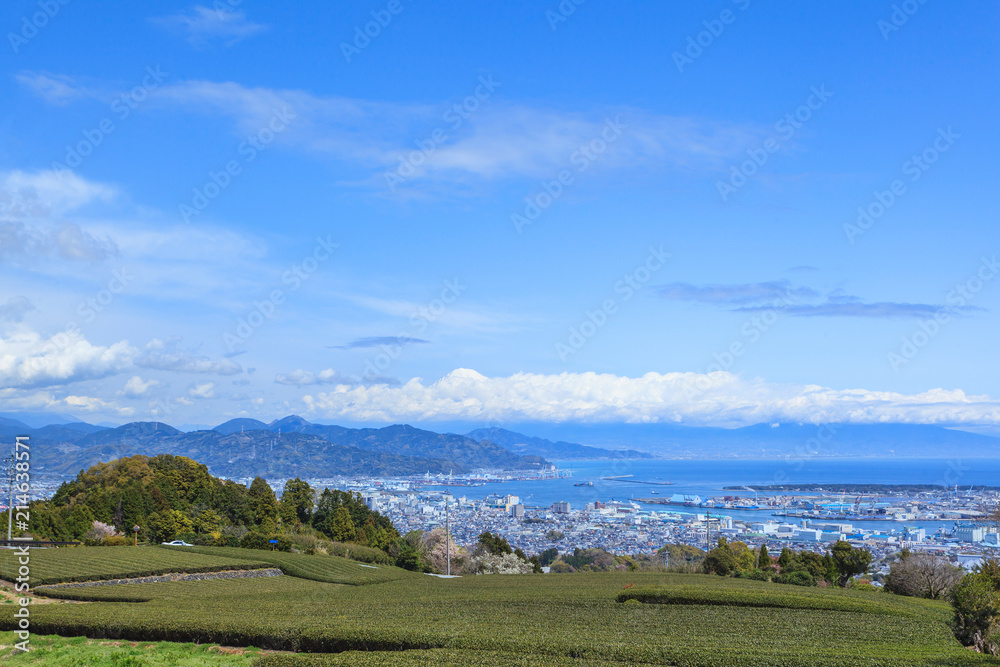 Landscape of tea field with Mt. Fuji and Shimizu bay in spring season at Shizuoka prefecture, Japan