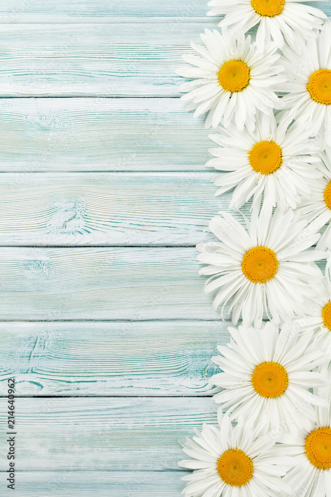 Obraz premium Garden chamomile flowers on wooden background