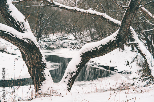 landscape on the bank of the river lama