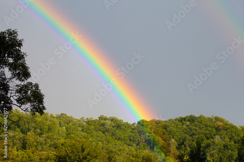 Beautiful Rainbow over Trees © Melinda Fawver