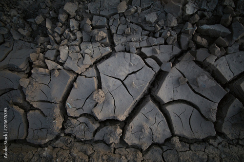 Mud Cracks 6