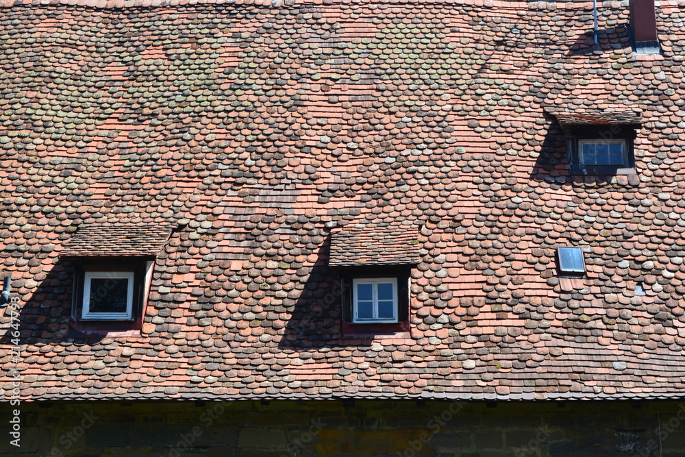 Obraz premium An old medieval roof