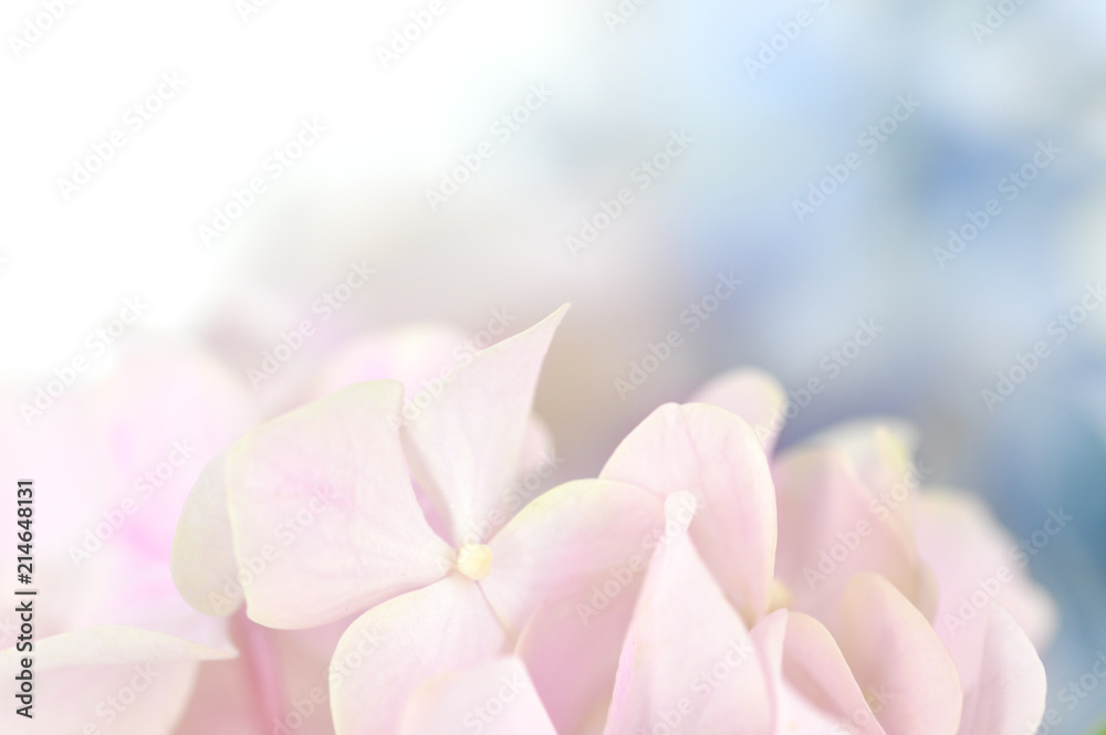 Abstract Flower Background Abstract Flower Background