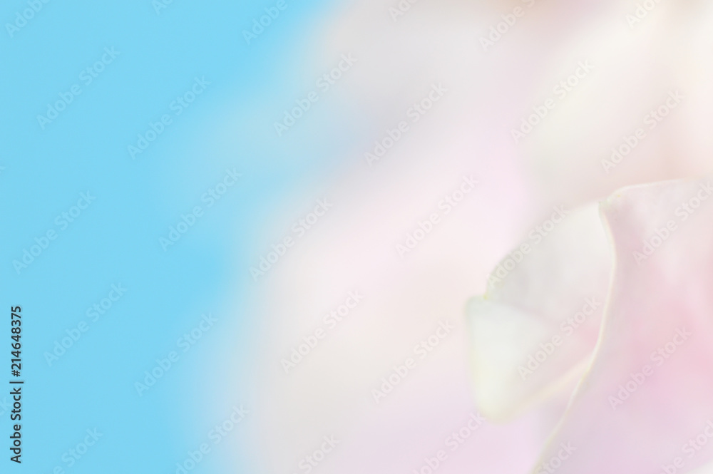 Obraz premium Abstract Flower Background