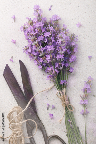 Fototapeta Naklejka Na Ścianę i Meble -  Top view of a bouquet of lavender with old metal scissors and twine on the table