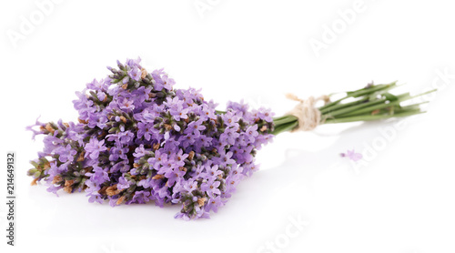 Bouquet of lavender flowers isolated on white background