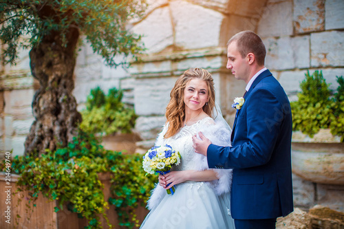 Elegant bride and groom near the beautiful ancient ruins and tree, outdoors, autumn