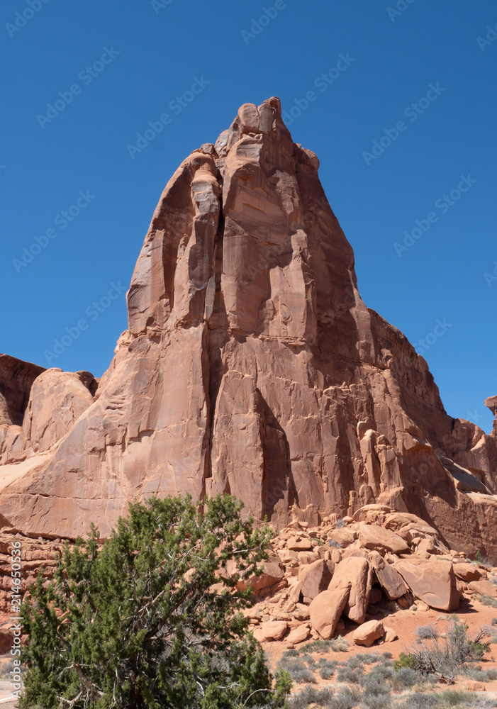 Fototapeta premium Arches